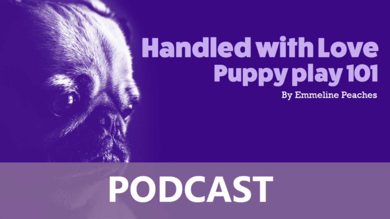 Podcast - Puppy play 101 Discussion