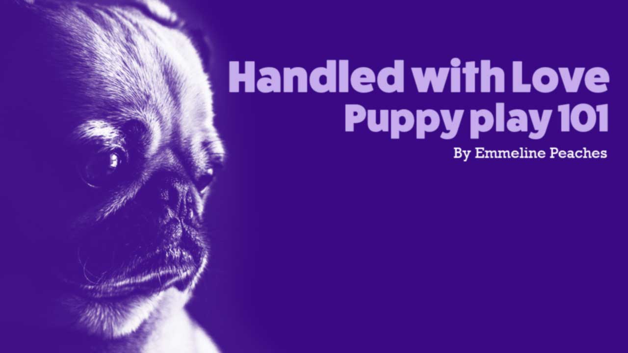 Handled With Love - Puppy Play 101